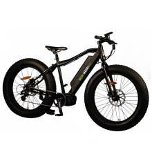 Paladin 26" 48V 350W High Power Fat Tyre Electric Bike